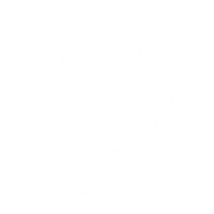 Freecom 2X - Individual