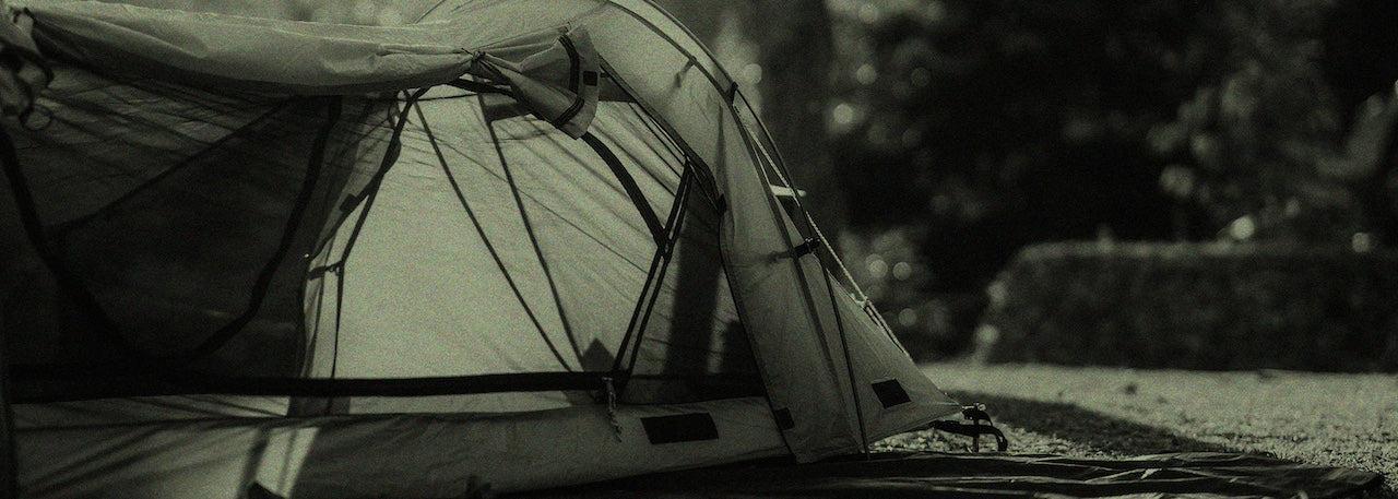 Carpas